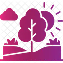 Tree Plant Park Icon