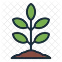 Tree Plant Smart Farm Icon