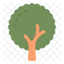 Tree  Icon