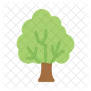 Tree Nature Forest Icon