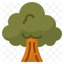 Tree Nature Plant 아이콘