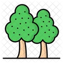 Tree Icon