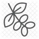 Tree  Icon