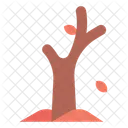 Tree In Autumn Season  Icon