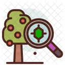 Tree Inspect Tree Inspection Tree Research Icon