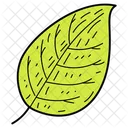 Tree Leaf Leaf Foliage Icon