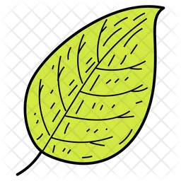 Tree Leaf  Icon