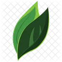 Tree Leaves  Icon