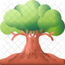 Tree Of Life Tree Festival Icon