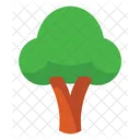 Foliage And Floral Tree Wood Icon