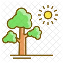 Tree Sunny Icon