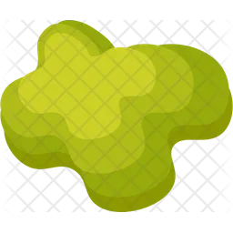 Tree top view  Icon
