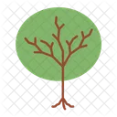 Tree Trunk Tree Wood Icon