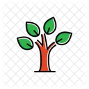 Tree With Leaves Icon