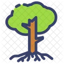 Tree with roots  Icon