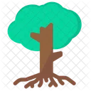 Root Nature Plant Icon