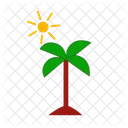 Coconut Tree Beach Palm Tree Icon