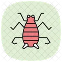 Treehoppper Treehopper Insect Icon