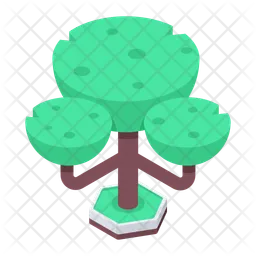 Trees  Icon