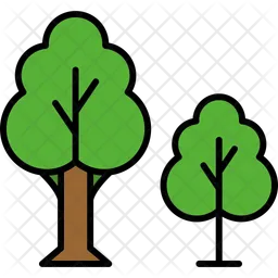 Trees  Icon