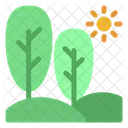 Trees Tree Nature Icon