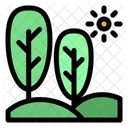 Trees Tree Nature Icon