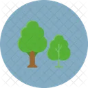 Trees Forest Nature Icon