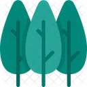 Trees Nature Plant Icon