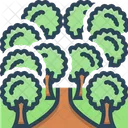 Forest Jungle Trees Icon