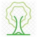 Trees Ecology Forest Icon