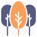 Trees Tree Forest Icon
