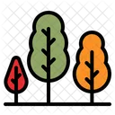 Trees  Icon