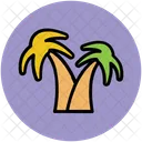 Trees Palm Tropical Icon