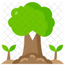 Trees  Icon