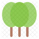 Trees  Icon