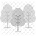 Trees  Icon