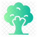 Trees Tree Plant Icon