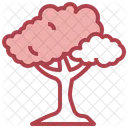 Trees  Icon