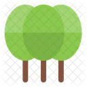 Trees  Icon