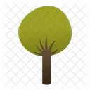 Trees  Icon