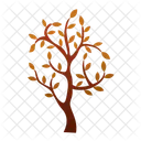 Trees  Icon