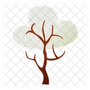 Trees  Icon