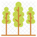 Trees Forest Nature Icon