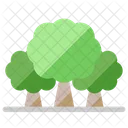 Trees Forest Wood Icon