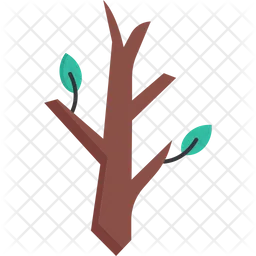 Trees  Icon