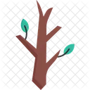 Trees Nature Forest Icon