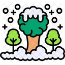 Trees  Icon