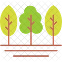 Trees Forest Nature Icon