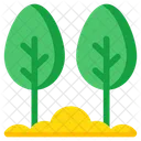 Trees Plants Nature Icon