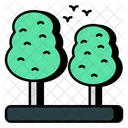 Trees Plants Nature Icon